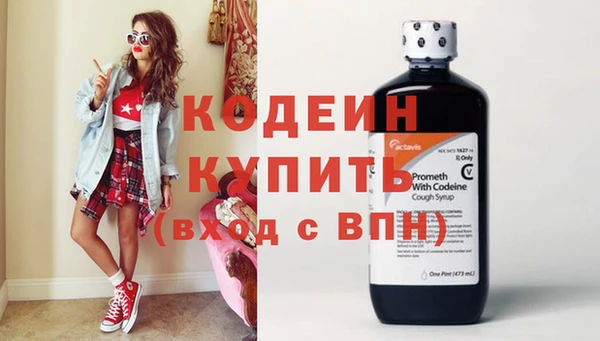 стаф Снежногорск
