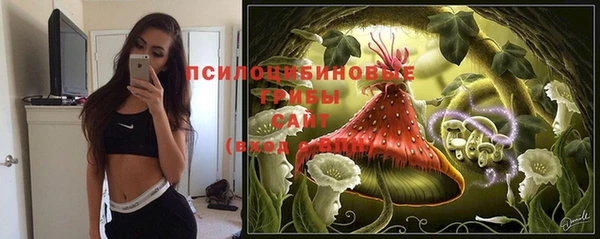стаф Снежногорск