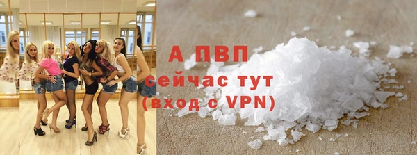 стаф Снежногорск
