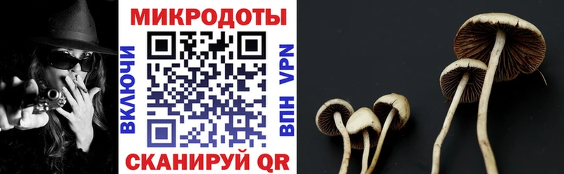 kraken зеркало  Шахунья  Галлюциногенные грибы GOLDEN TEACHER 