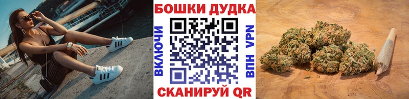 Канабис индика купить наркоту Шахунья
